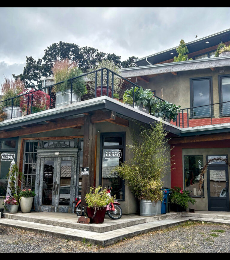exterior1-blackback